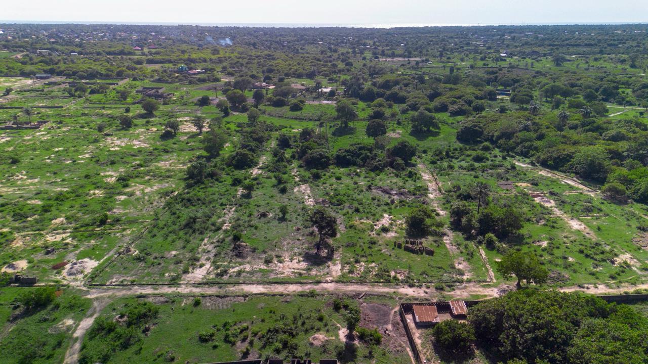 Aerial view of open land and vegetation in The Gambia