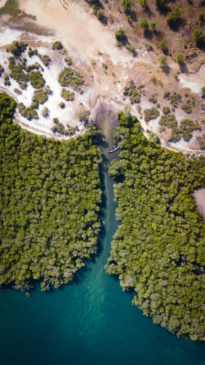 Aerial view of mangroves and water in The Gambia