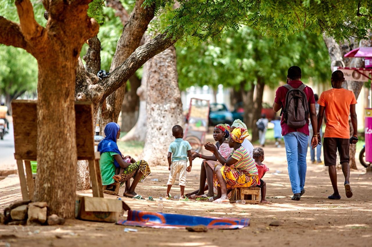 Local community life under trees in The Gambia